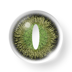 Rynx Cosplay Dinosaur Green 14.5mm 1 Pair | 1 Year