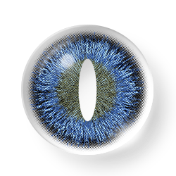 Rynx Cosplay Dinosaur Blue 14.5 mm 1 Pair | 1 Year