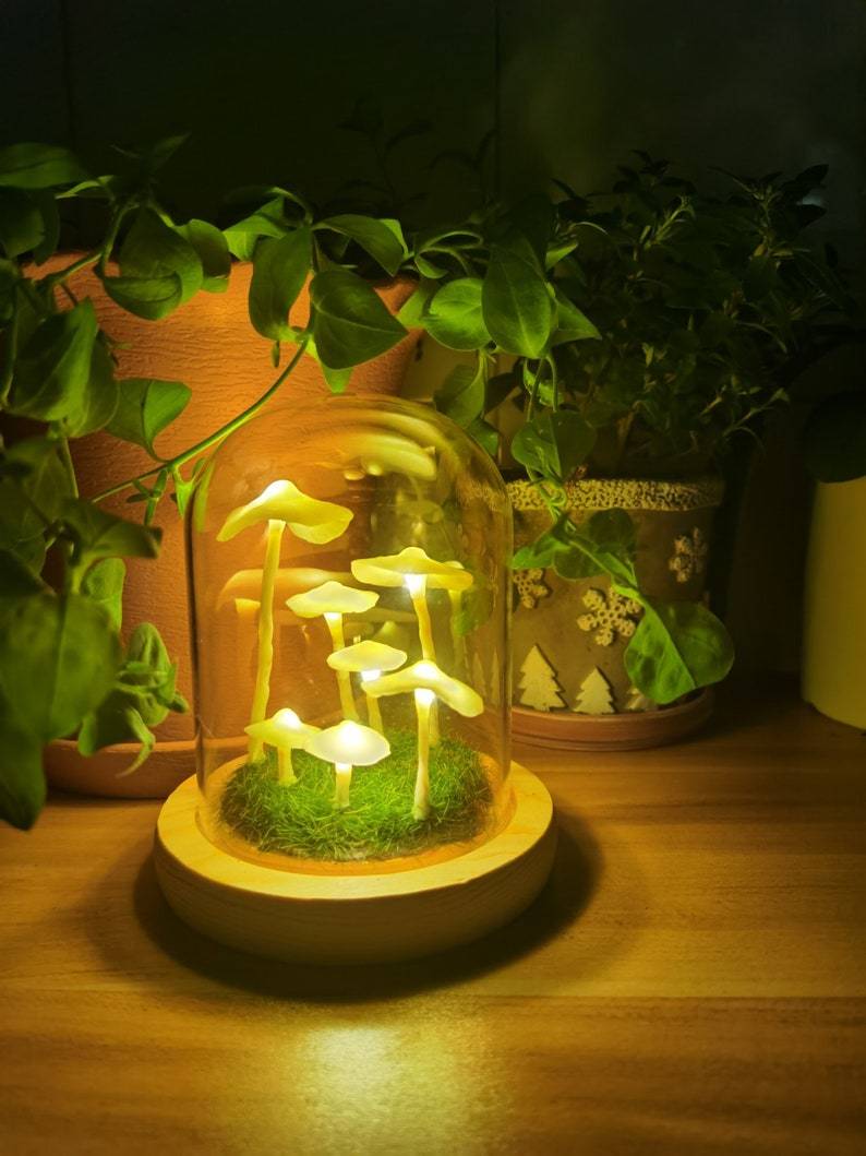 Lisslune | LumiTerra DIY Sponge Light made of Glass