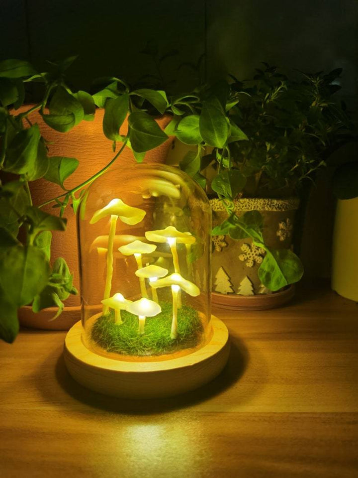 Lisslune | LumiTerra DIY Sponge Light made of Glass