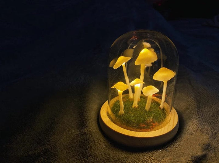 Lisslune | LumiTerra DIY Sponge Light made of Glass