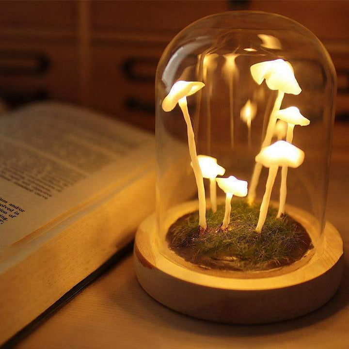 Lisslune | LumiTerra DIY Sponge Light made of Glass