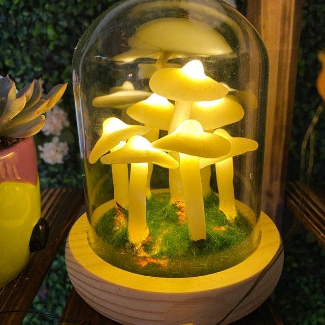Lisslune | LumiTerra DIY Sponge Light made of Glass