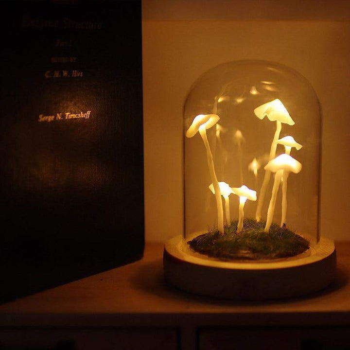 Lisslune | LumiTerra DIY Sponge Light made of Glass