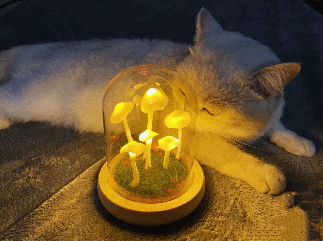 Lisslune | LumiTerra DIY Sponge Light made of Glass