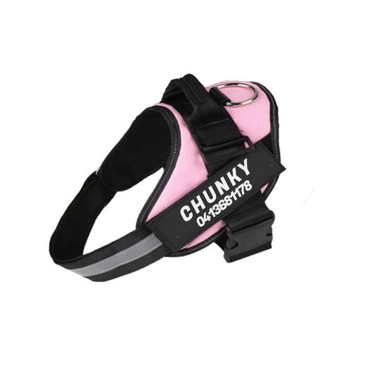 Lisslune | DOGSAFE HARNESS – Safety dog harness with name tag & reflectors