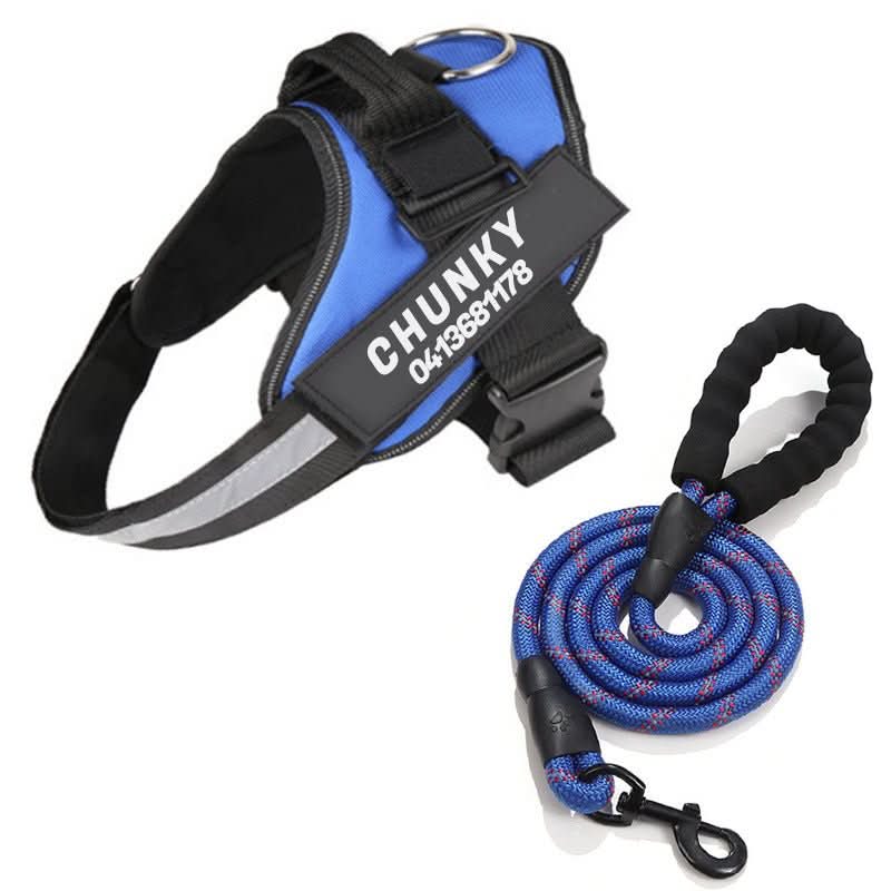 Lisslune | DOGSAFE HARNESS – Safety dog harness with name tag & reflectors