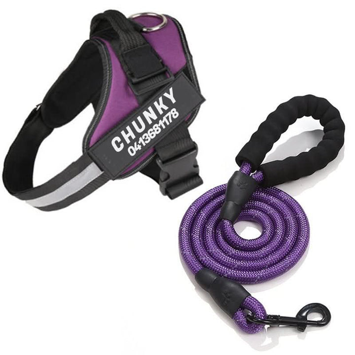 Lisslune | DOGSAFE HARNESS – Safety dog harness with name tag & reflectors