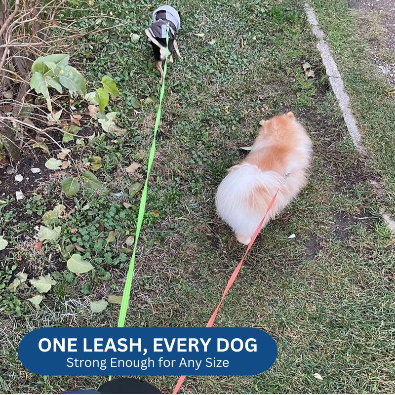 Lisslune | 10FT Dual Retractable Dog Leash with Built-In Flashlight & Waste Bag Holder