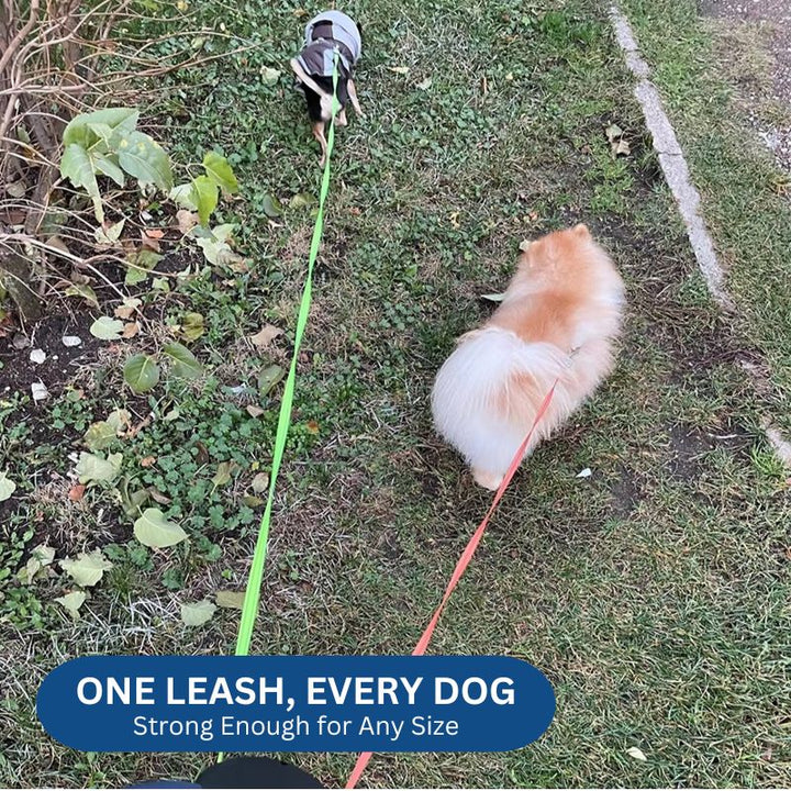 Lisslune | 10FT Dual Retractable Dog Leash with Built-In Flashlight & Waste Bag Holder