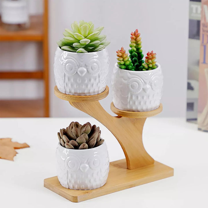 Lisslune | Decorative plant stand made of wood – plant pots in owl design for succulents and indoor plants