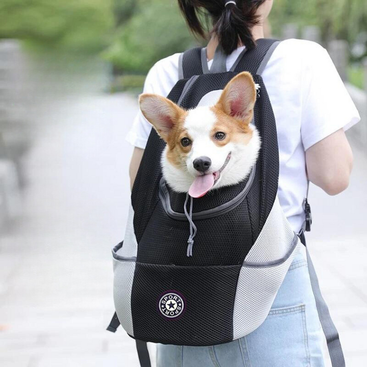 Lisslune | Pet Carrier Backpack | Comfortable, Secure & Perfect for Outdoor Adventures with Your Dog