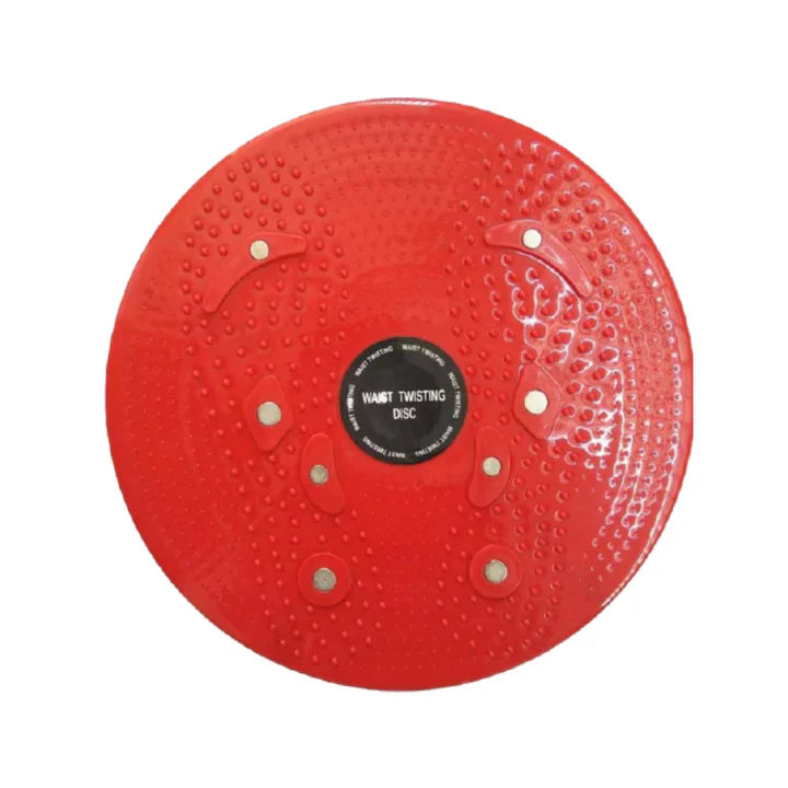 Lisslune | Dynamic Balance Board for Strength and Stability