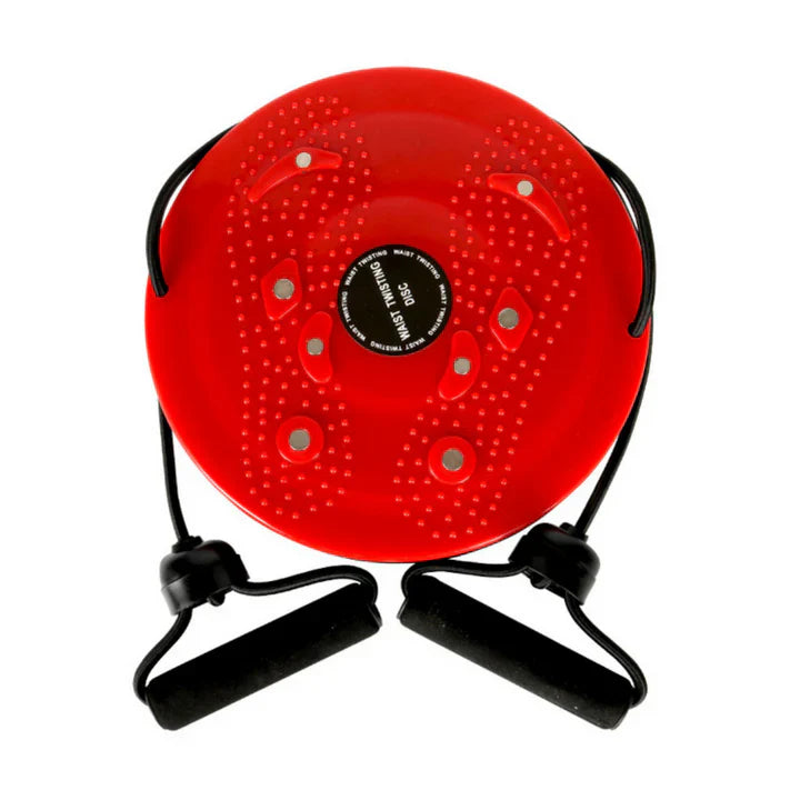 Lisslune | Dynamic Balance Board for Strength and Stability