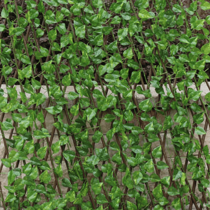 Lisslune | IntimyGreen - Premium Expandable Plant Fence