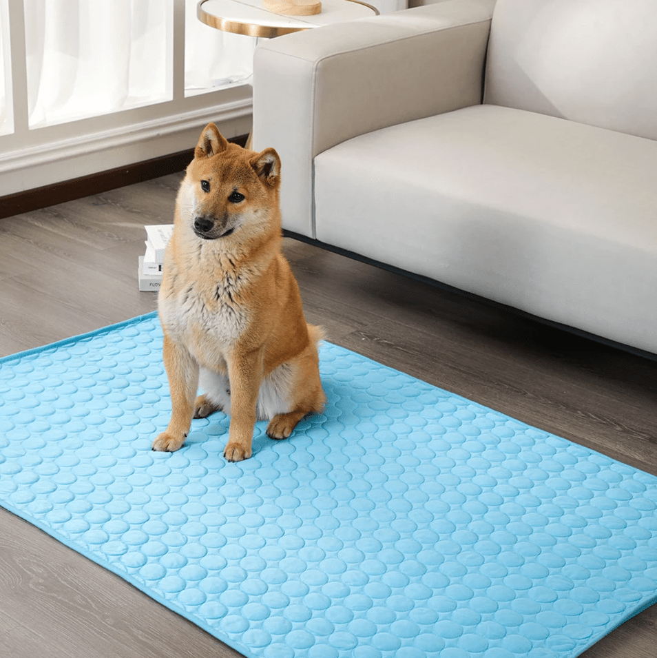 Lisslune | Self-cooling dog mat for hot days & relaxed dogs