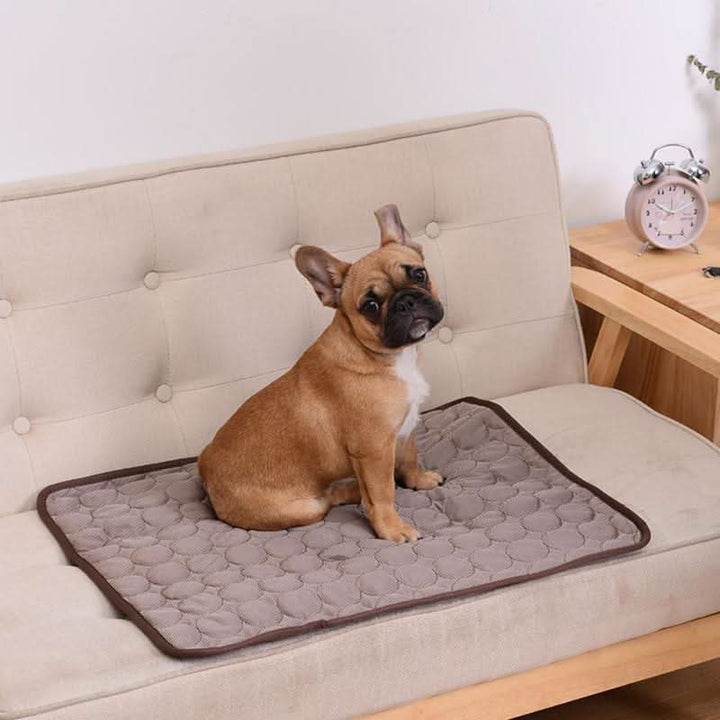 Lisslune | Self-cooling dog mat for hot days & relaxed dogs