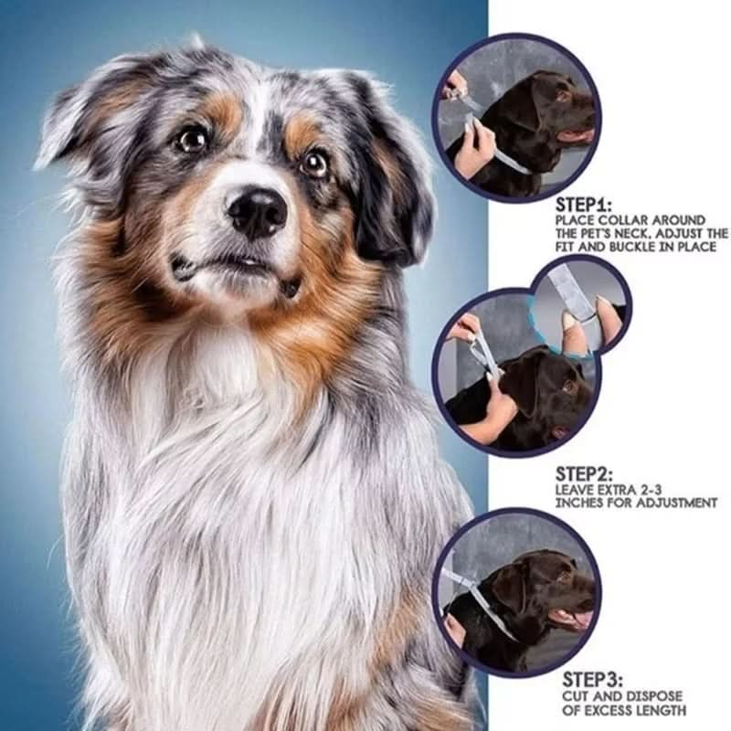 Lisslune | PAWTECT - Anti-tick and flea collar