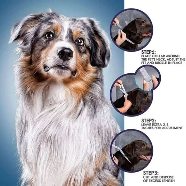 Lisslune | PAWTECT - Anti-tick and flea collar