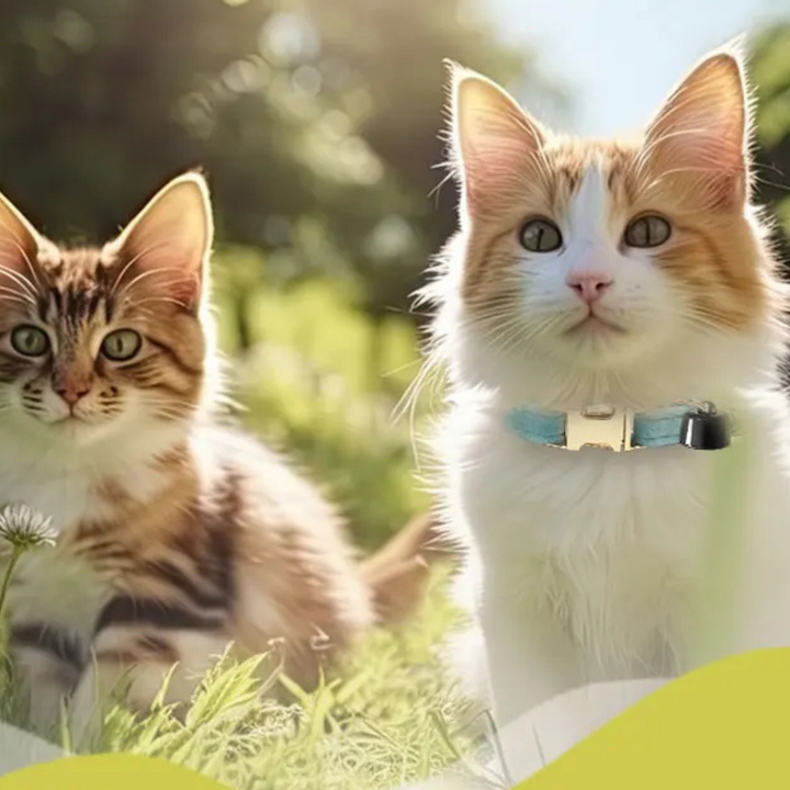Lisslune | Pet Tracker Mini – Smart Bluetooth Animal Locator with Collar and Bell