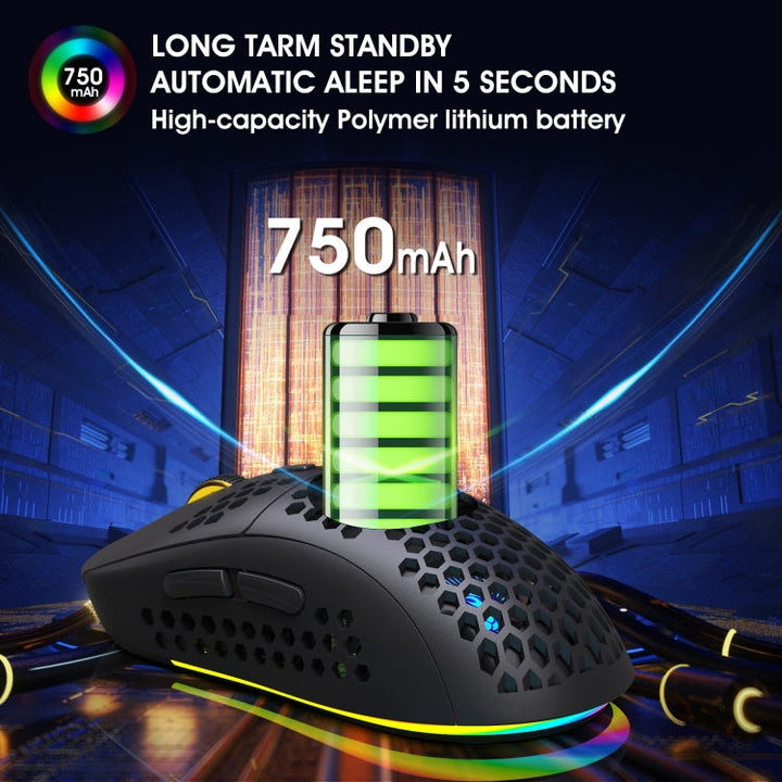 Lisslune | HXSJ T90 RGB Light Three-Mode Wireless Gaming Mouse