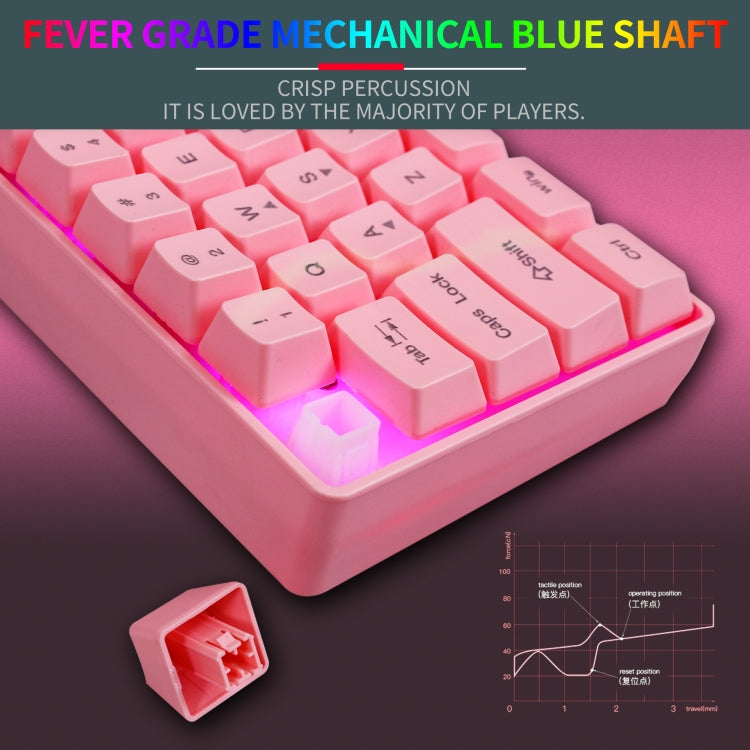 Lisslune | HXSJ V700 61 Keys RGB Lighting Gaming Wired Keyboard (Pink)