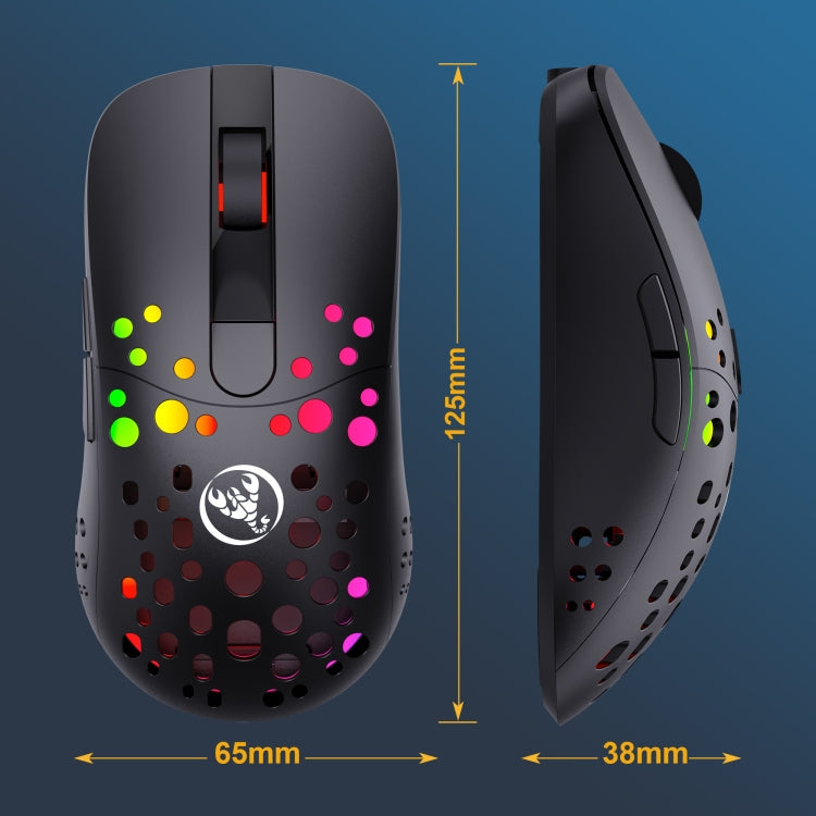 Lisslune | HXSJ T100 10000 DPI RGB Macro Definition Wired Wireless Dual-Mode Mouse (Black)