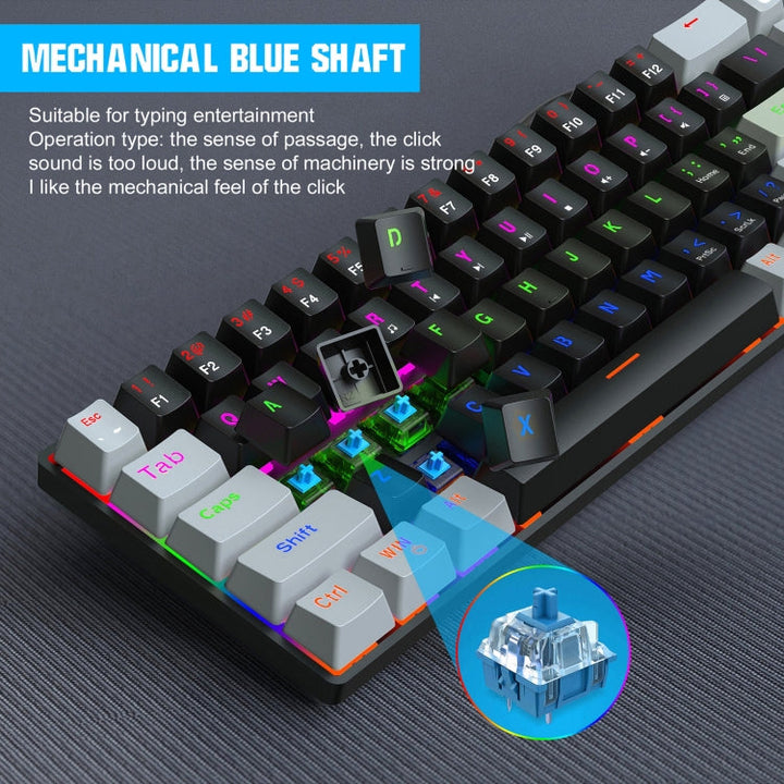 Lisslune | HXSJ V800 68 Keys Type-C Wired Cool Backlight Mechanical Keyboard (Blue Switch)