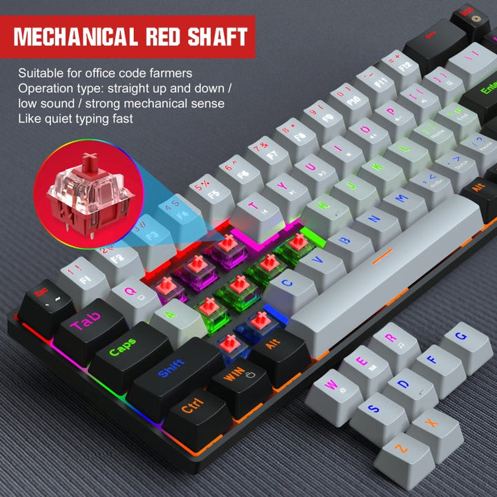 Lisslune | HXSJ V800 68 Keys Type-C Wired Cool Backlight Mechanical Keyboard (Red Switch)