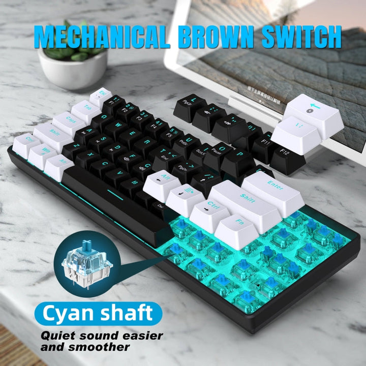 Lisslune | HXSJ V900 61 Keys Cool Lighting Effect Mechanical Wired Keyboard (Black White)