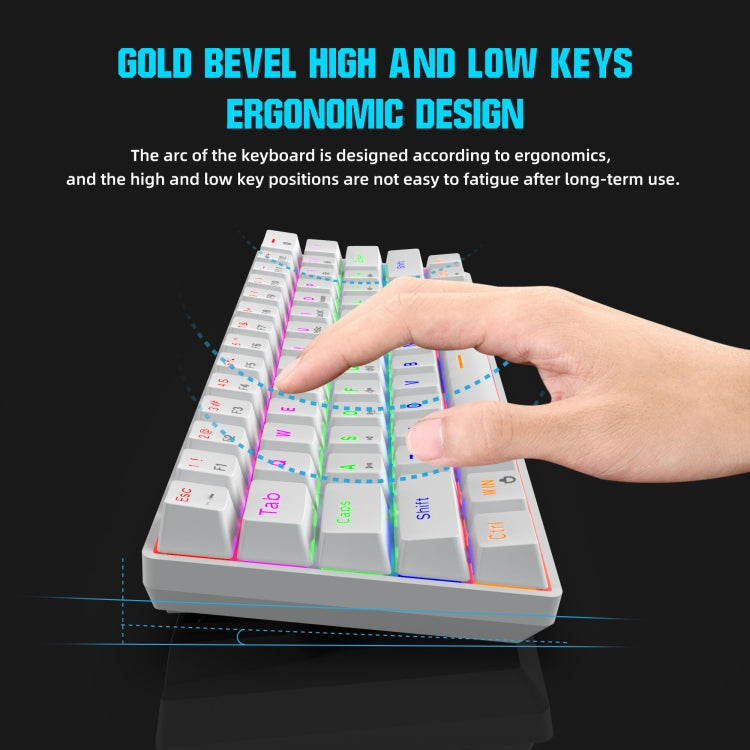Lisslune | HXSJ V900 61 Keys Cool Lighting Effect Mechanical Wired Keyboard (White)