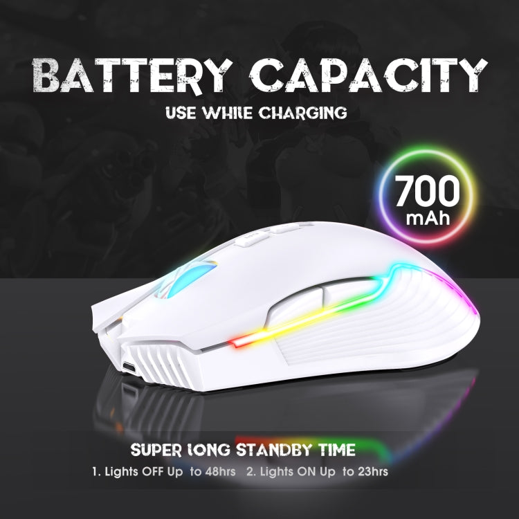 Lisslune | ONIKUMA CW905 2.4G RGB Lighting Wireless Mouse (Gray White)