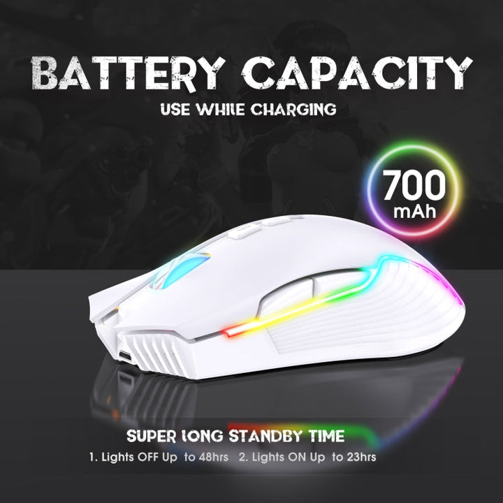 Lisslune | ONIKUMA CW905 2.4G RGB Lighting Wireless Mouse (Gray White)