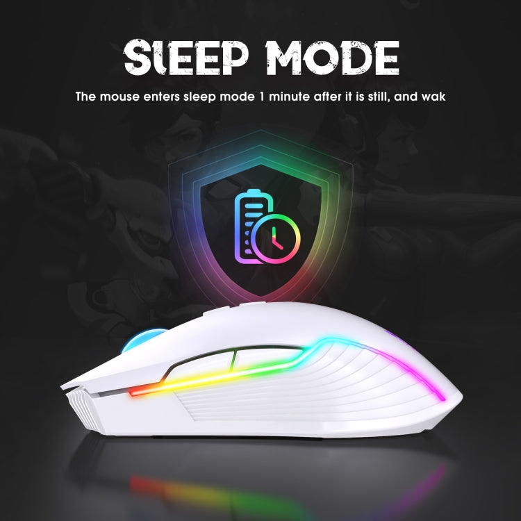 Lisslune | ONIKUMA CW905 2.4G RGB Lighting Wireless Mouse (Gray White)