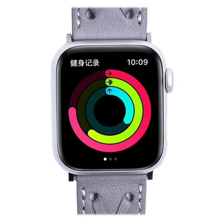 Lisslune | Leather Braided Watch Strap for Apple Watch Series 9&8&7 41mm / SE 3&SE 2&6&SE&5&4 40mm / 3&2&1 38mm (Gray)