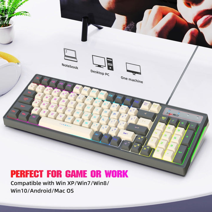 Lisslune | HXSJ V600 96-Key RGB Backlight Dual-Color Injection Molding Wired Gaming Keyboard