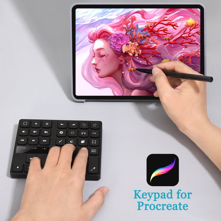 Lisslune | 533 Bluetooth 5.0 Painting Keyboard 35 Keys Numeric Keypad Wireless Digital Keyboard (Black)