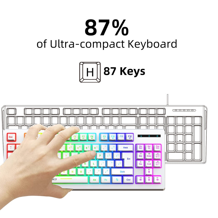 Lisslune | HXSJ L100 87 Keys RGB Backlit Film 2.4G Wireless Keyboard (White)