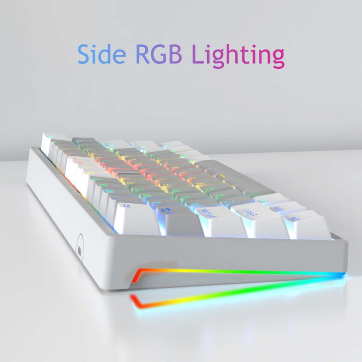 Lisslune | AULA F3261 Type-C Wired Hot Swappable 61 Keys RGB Mechanical Keyboard (Black Grey Tea Shaft)