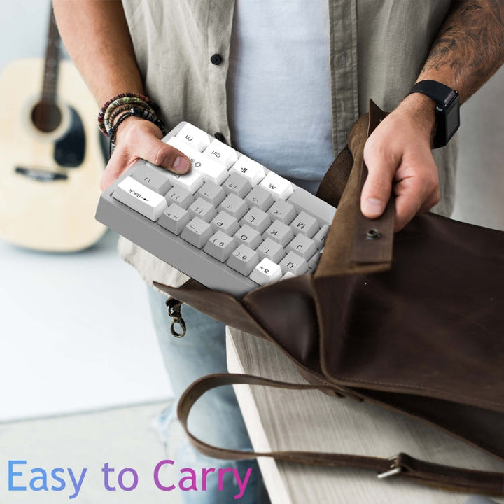 Lisslune | AULA F3261 Type-C Wired Hot Swappable 61 Keys RGB Mechanical Keyboard (White Gray Green Shaft)