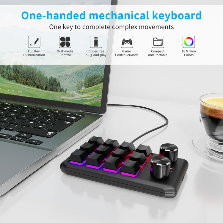 Lisslune | USB Wired 12KV2 MOLD Mini Mechanical 12 Keys 2 Button Customizable Programming Keyboard (Black)