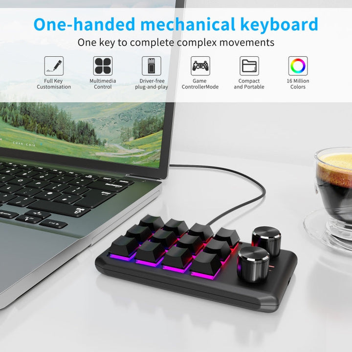 Lisslune | USB Wired 12KV2 MOLD Mini Mechanical 12 Keys 2 Button Customizable Programming Keyboard (Black)