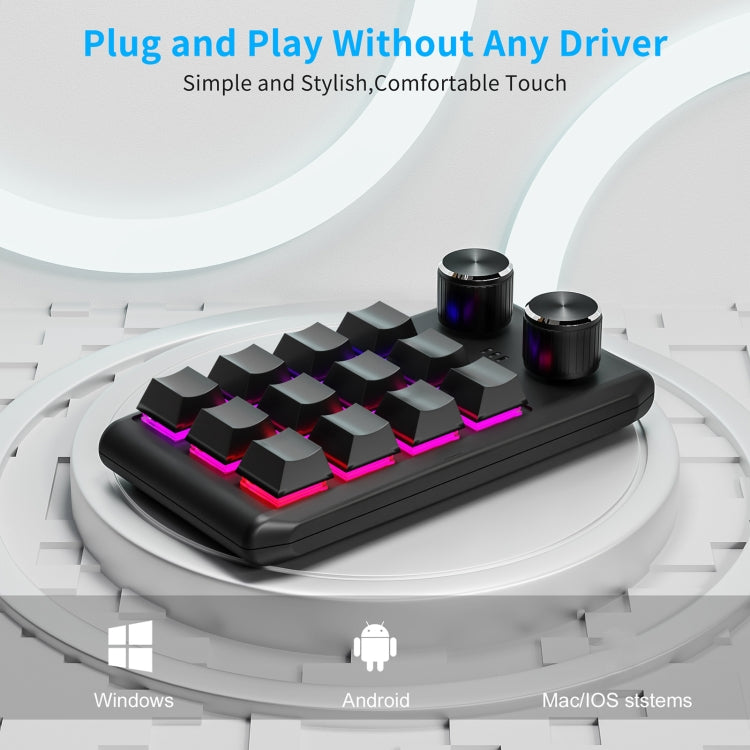 Lisslune | USB Wired 12KV2 MOLD Mini Mechanical 12 Keys 2 Button Customizable Programming Keyboard (Black)