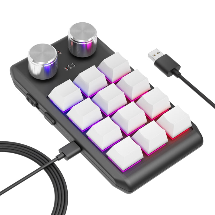 Lisslune | USB Wired 12KV2 MOLD Mini Mechanical 12 Keys 2 Knob Custom Programming Keyboard (White)