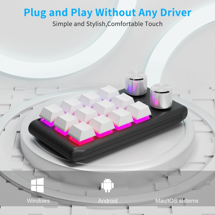 Lisslune | USB Wired 12KV2 MOLD Mini Mechanical 12 Keys 2 Knob Custom Programming Keyboard (White)