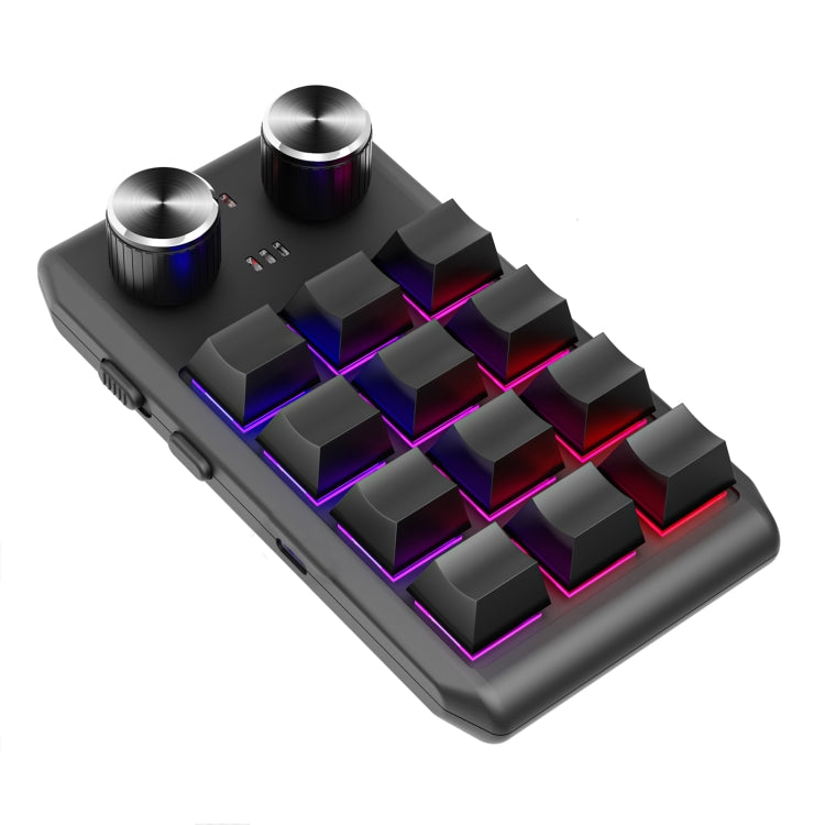 Lisslune | Bluetooth Wireless 12KV2 MOLD Mini Mechanical 12 Keys 2 Controllers Custom Programming Keyboard (Black)