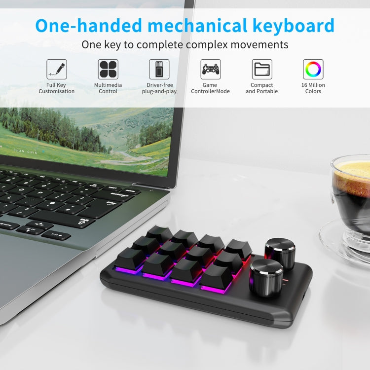 Lisslune | Bluetooth Wireless 12KV2 MOLD Mini Mechanical 12 Keys 2 Controllers Custom Programming Keyboard (Black)