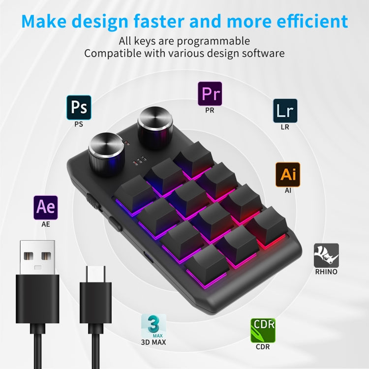 Lisslune | Bluetooth Wireless 12KV2 MOLD Mini Mechanical 12 Keys 2 Controllers Custom Programming Keyboard (Black)