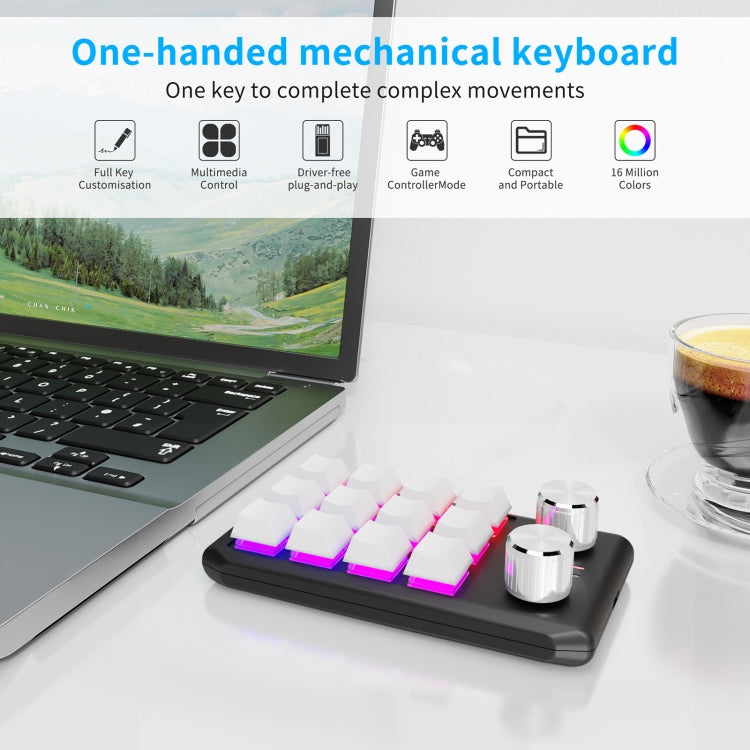 Lisslune | Bluetooth Wireless 12KV2 MOLD Mini Mechanical 12 Key 2 Rotary Knob Custom Programming Keyboard (White)