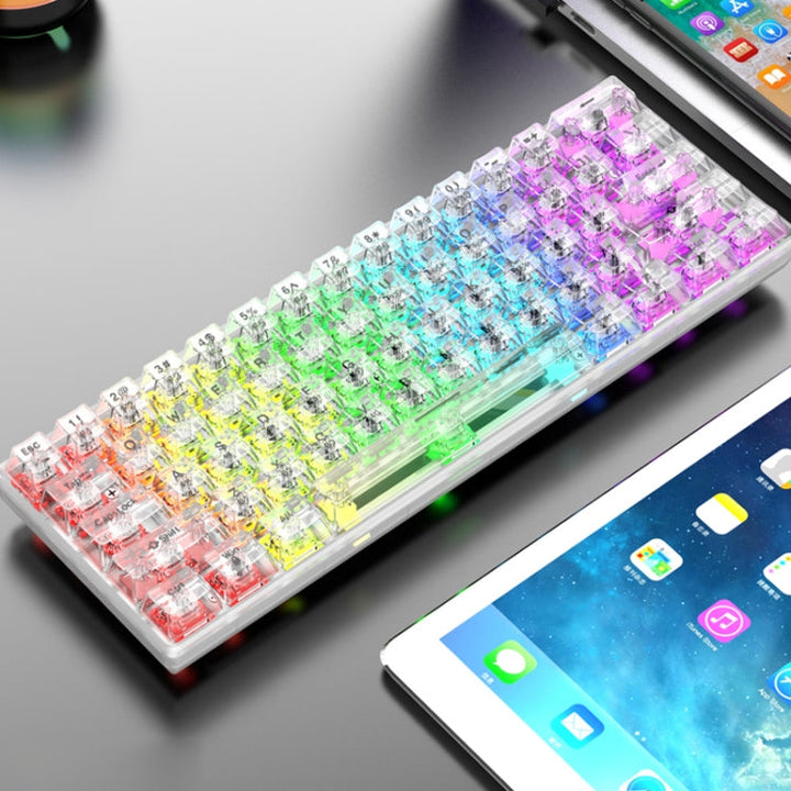 Lisslune | XUNFOX K30 Pro 2.4G + BT + Wired Transparent 61-Key Mechanical White Switch Keyboard (White)